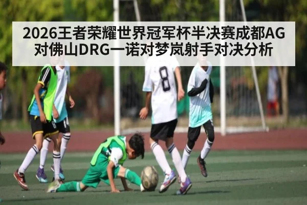 2026王者荣耀世界冠军杯半决赛成都AG对佛山DRG一诺对梦岚射手对决分析