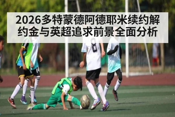2026多特蒙德阿德耶米续约解约金与英超追求前景全面分析